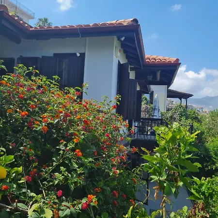 Escape To History In A Stunning Stone House With Garden And Sea View In The Heart Of * Alanya